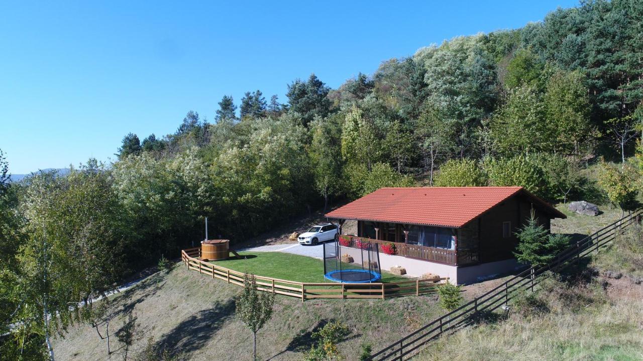 Panorama House Vilă Praid