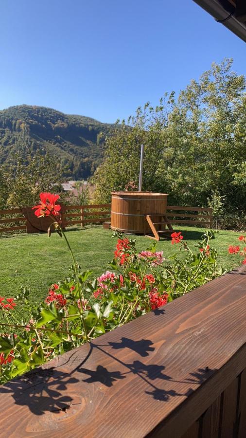 Panorama House Vilă *