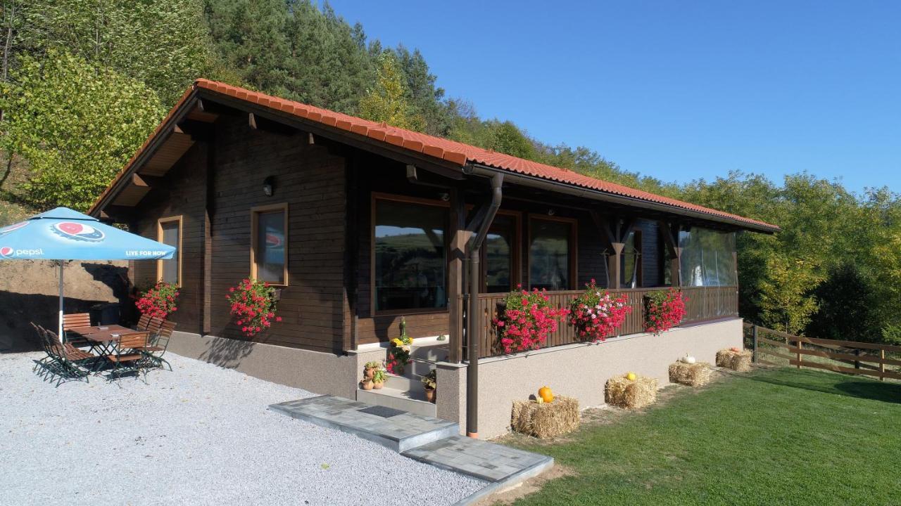 Vilă Panorama House
