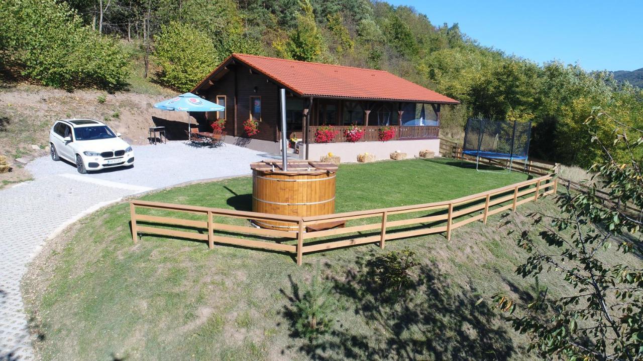 Panorama House Vilă *